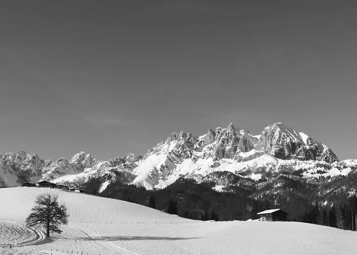 Foidl * Oberndorf in Tirol